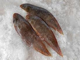 Tounge Sole Fish